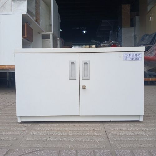 Tủ Hồ Sơ Thấp THST11.jpg